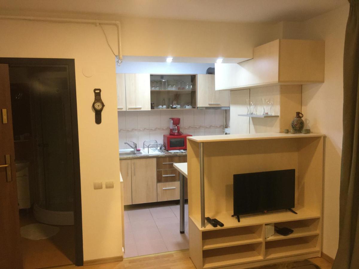 Apartment Chic Minisuite Mirage-self Check-in&free Parking Sinaia