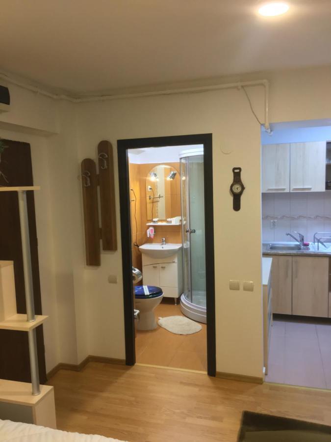 Apartment Chic Minisuite Mirage-self Check-in&free Parking Sinaia